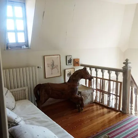 فيلة Splendid In The Heart Of