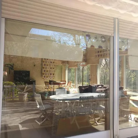 فيلة Splendid In The Heart Of