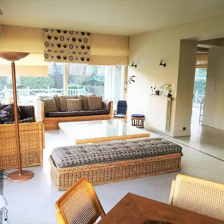 Splendid In The Heart Of فيلة