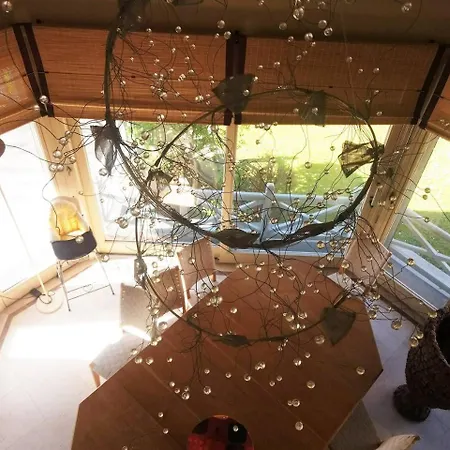 Splendid In The Heart Of *