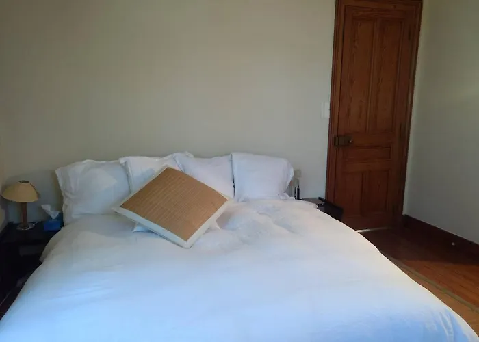 Splendid In The Heart Of Villa *